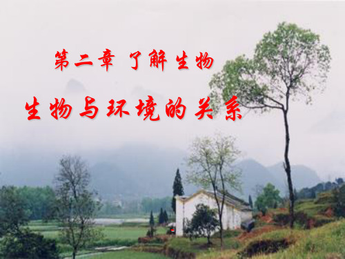 生物七年级上人教新课标1.2.1生物与环境的关系-课件
