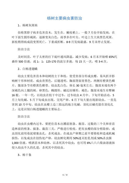 杨树主要病虫害防治