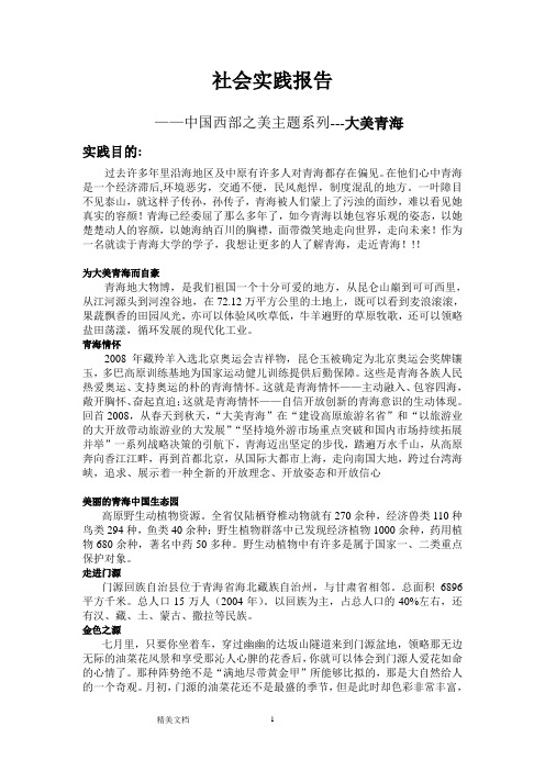 社会实践报告-大美青海