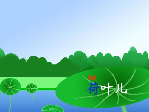 37荷叶圆圆