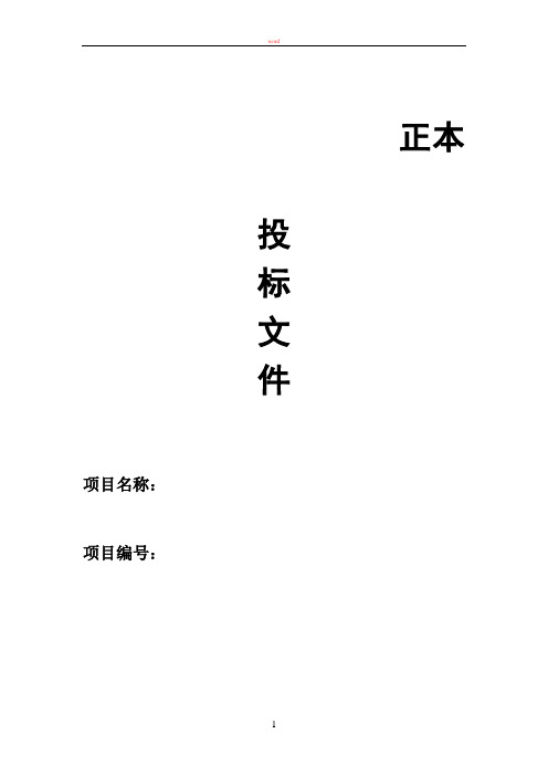 某某项目-投标文件-技术方案——模板1