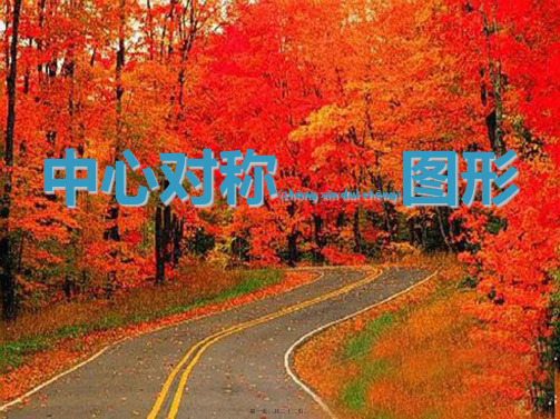 八年级数学上册 16.4《中心对称图形》课件