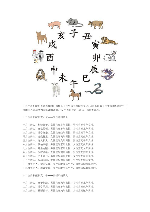 十二生肖相配相克