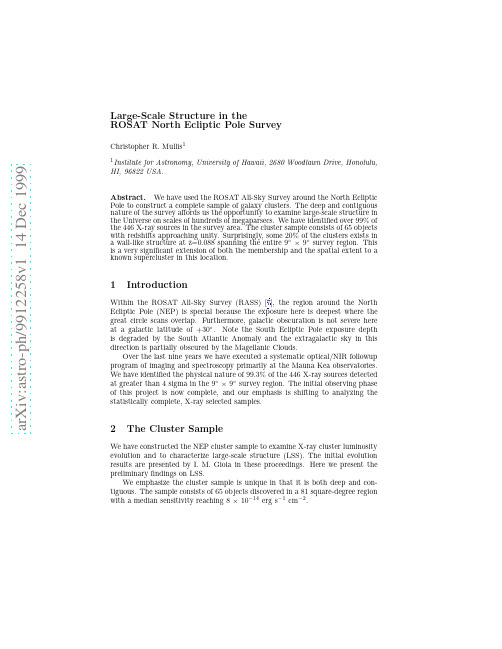 Large-Scale Structure in the ROSAT North Ecliptic Pole Survey