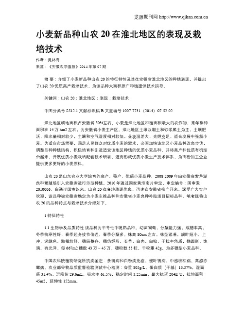 小麦新品种山农20在淮北地区的表现及栽培技术