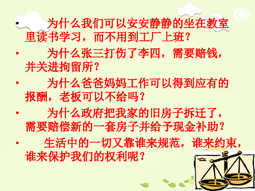 最新人教版七年级思品(政治)下册走近法律_(精品版)