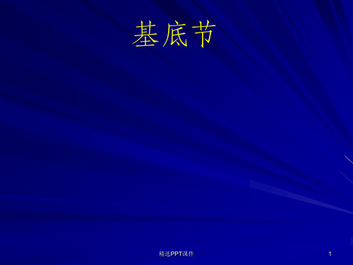 基底节ppt课件