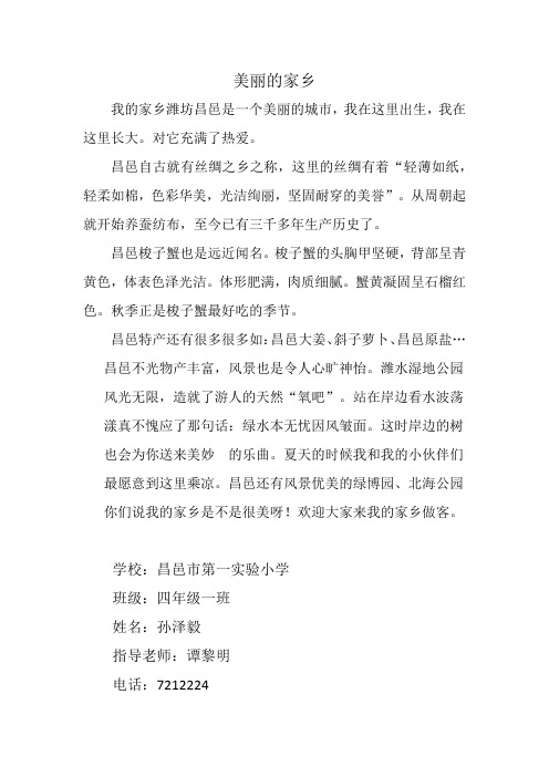 美丽的家乡1