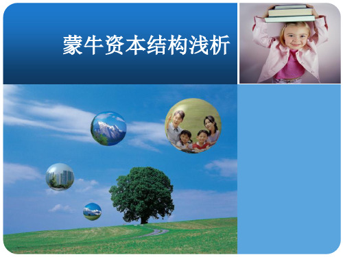 第八章资本决策案例——蒙牛