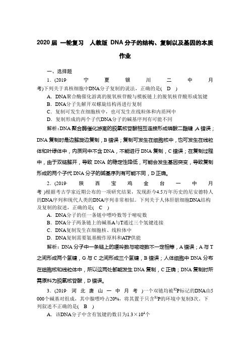 2020年高考 一轮复习  人教版 DNA分子的结构、复制以及基因的本质  作业.doc