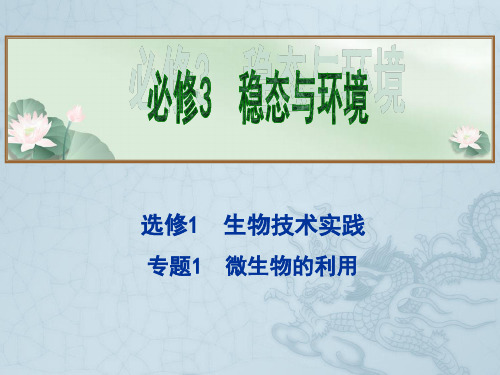 高考生物总复习拔高精讲课件选修1 专题1 微生物的利用