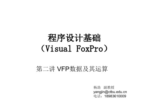 VF第2部分(数据、函数、表达式)