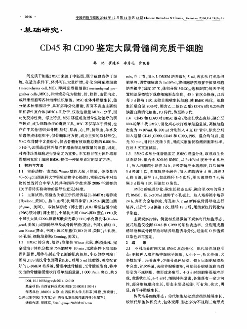 CD45和CD90鉴定大鼠骨髓间充质干细胞