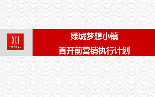济南绿城梦想小镇开盘前营销执行计划