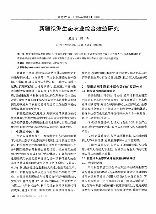 新疆绿洲生态农业综合效益研究