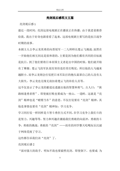 亮剑观后感范文五篇
