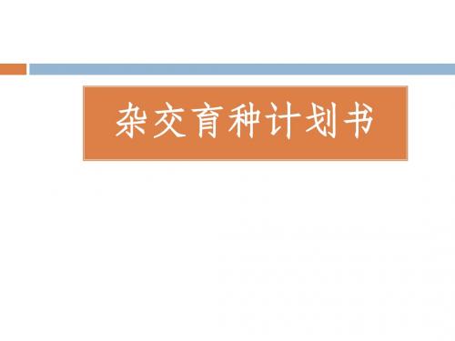 育种西瓜