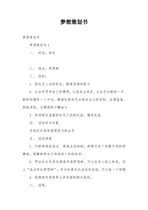 梦想策划书