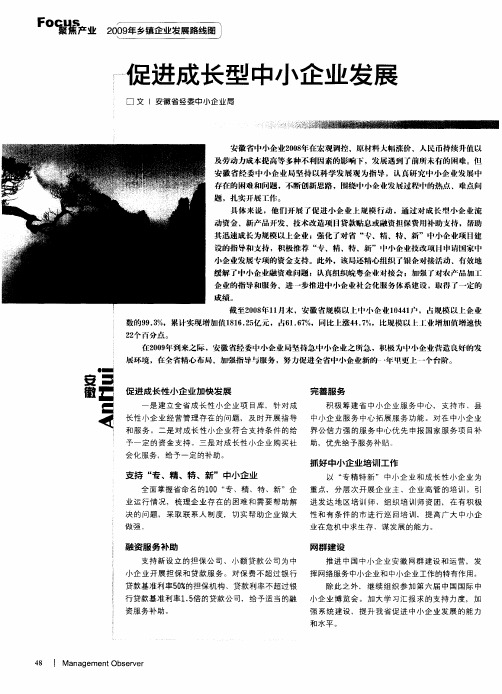 促进成长型中小企业发展