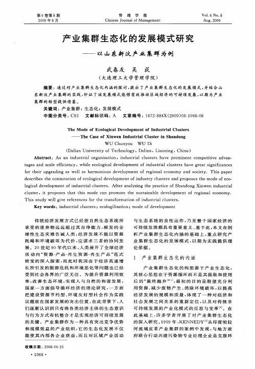 产业集群生态化的发展模式研究——以山东新汶产业集群为例