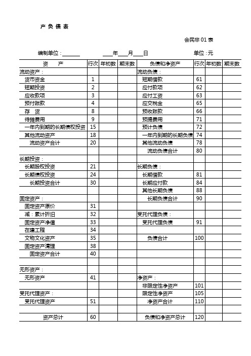 民间非营利组织会计报表(民政部)