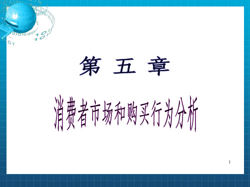 消费者市场和购买行为分析_OK