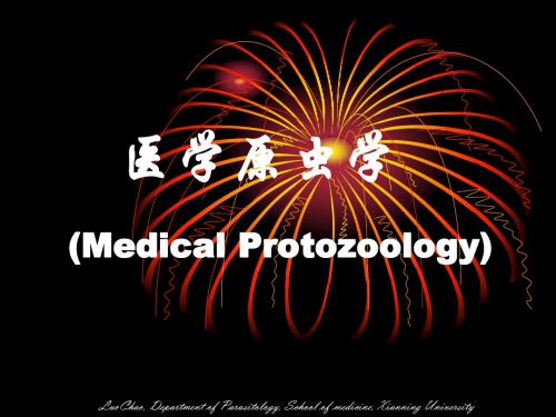 人体寄生虫学实验原虫概论阿米巴滴虫贾第修 ppt课件