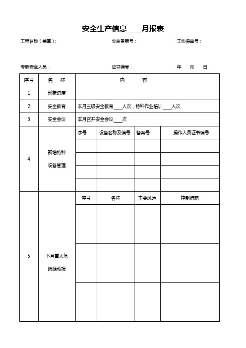 安全生产信息月报表(项目部) (1)