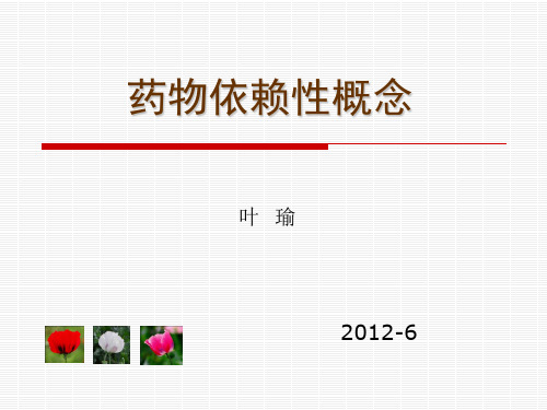 阿片药物成瘾概念