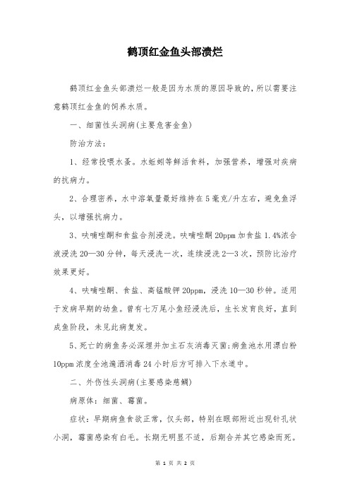 鹤顶红金鱼头部溃烂