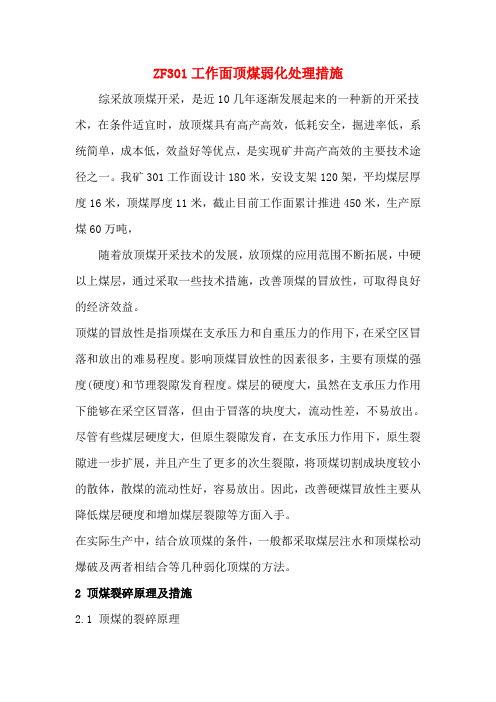 301顶煤弱化处理措施