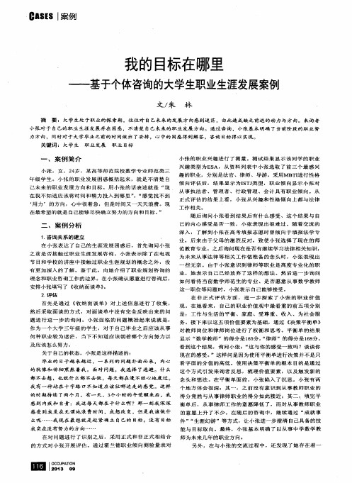 我的目标在哪里——基于个体咨询的大学生职业生涯发展案例