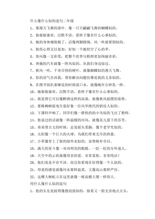 关于什么像什么似的造句二年级