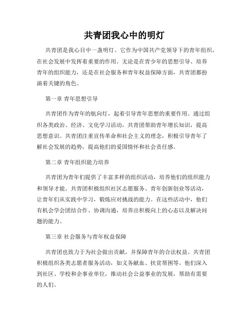 共青团我心中的明灯