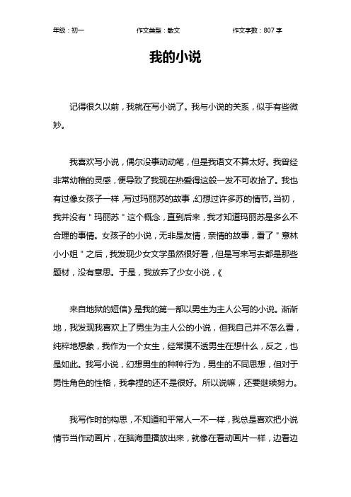 我的小说作文【初中初一800字】