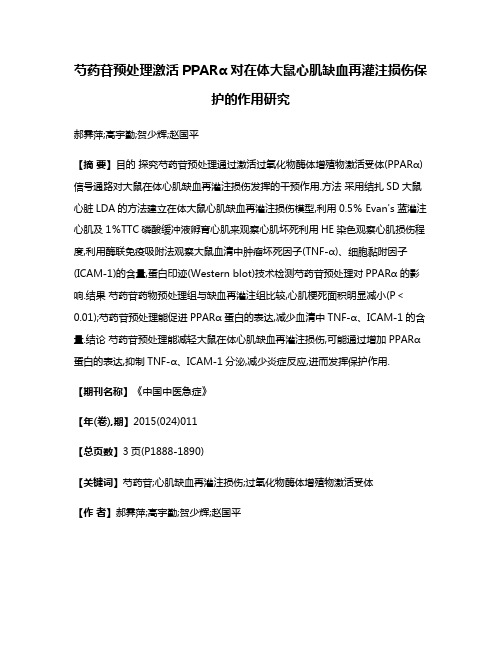 芍药苷预处理激活PPARα对在体大鼠心肌缺血再灌注损伤保护的作用研究