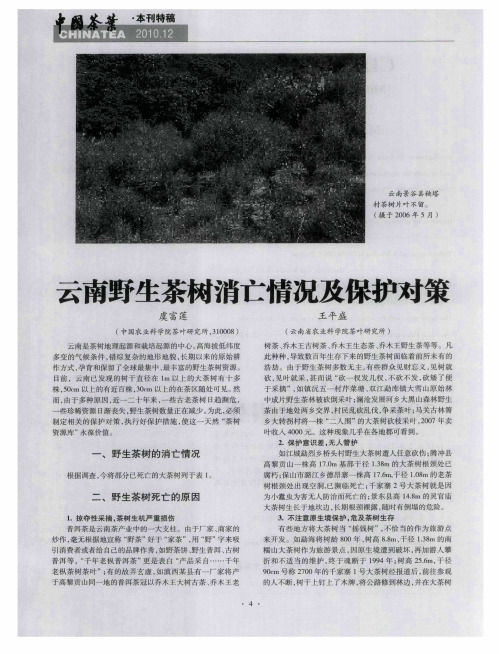 云南野生茶树消亡情况及保护对策