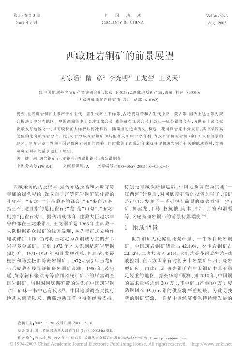 西藏斑岩铜矿的前景展望