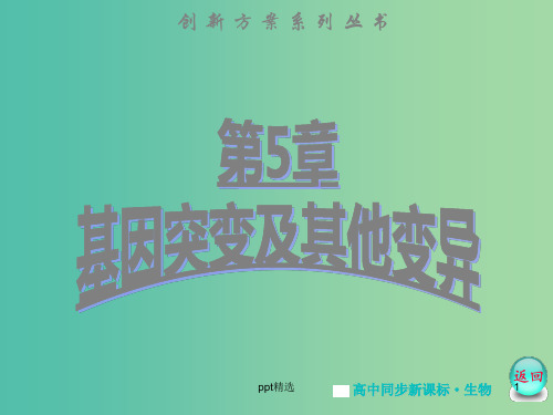 高中生物 第5章 第1节 基因突变和基因重组课件 新人教版必修2