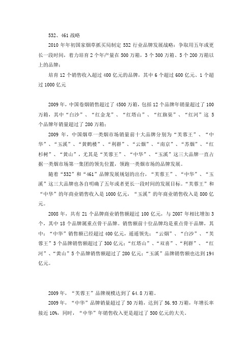 532 461品牌发展战略