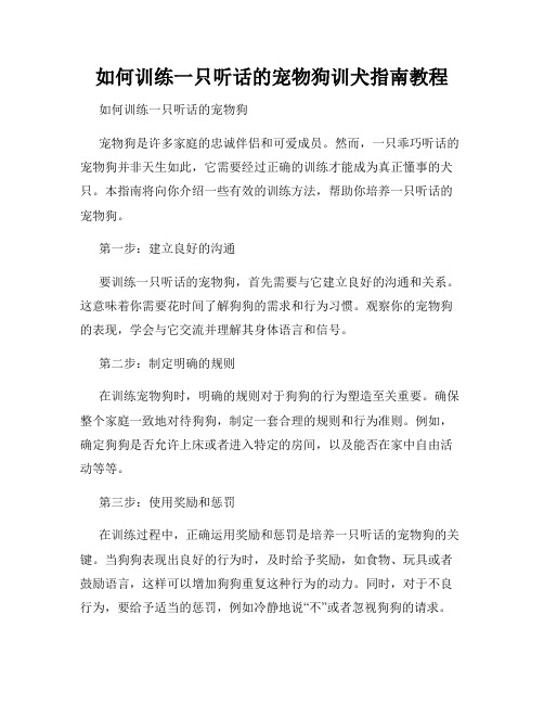 如何训练一只听话的宠物狗训犬指南教程