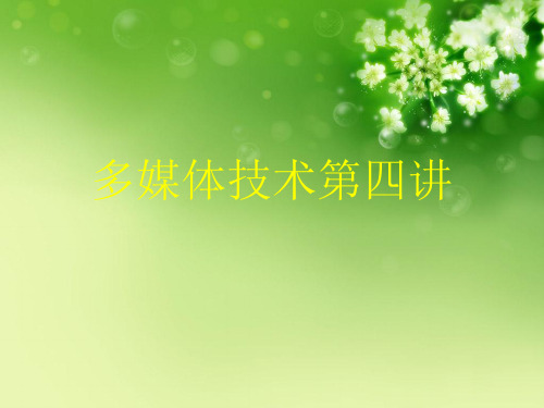 多媒体技术第四讲优秀课件
