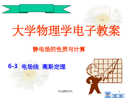 大学物理 高斯定理PPT课件