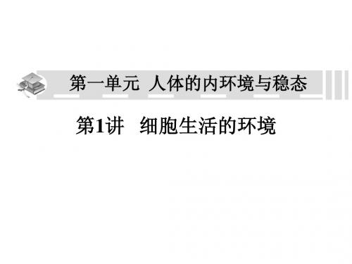人教版教学课件内环境稳态复习