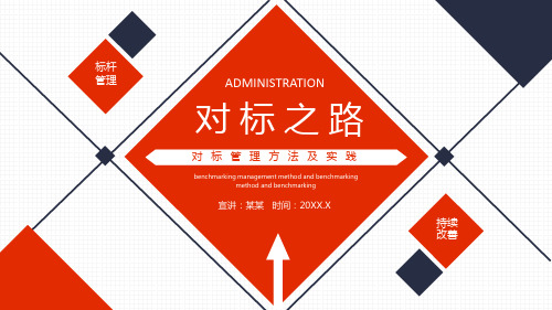 对标管理方法及实践PPT课件