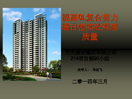提高CL复合剪力墙自密实砼观感质量QC