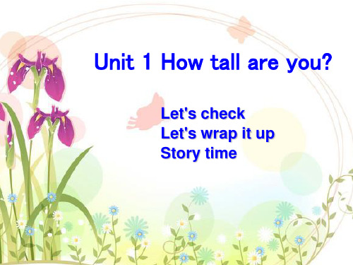 六年级下册英语精品ppt-Unit 1 How tall are you？-人教(PEP)版 (17