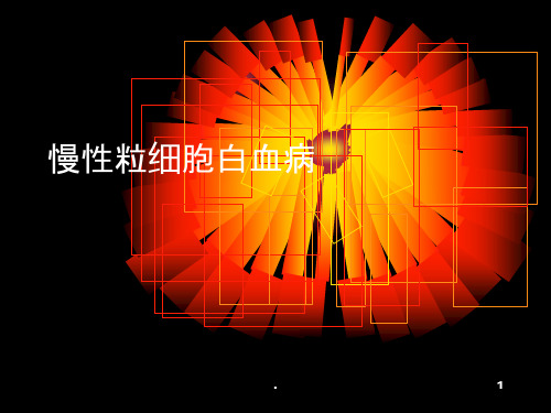 慢性粒细胞白血病护理PPT课件
