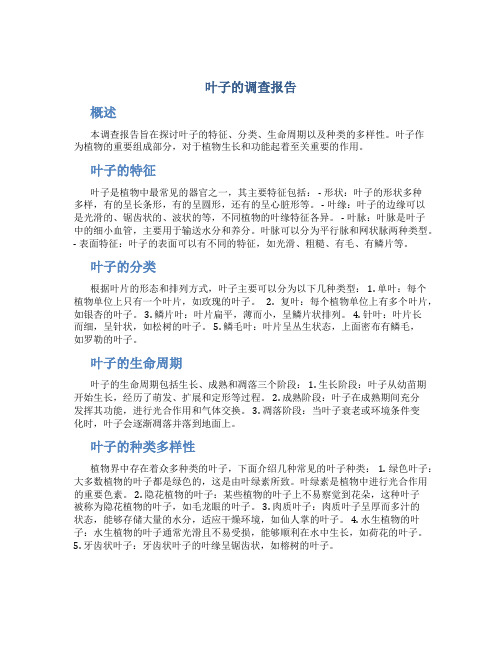 叶子的调查报告