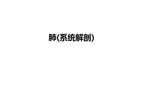 最新肺(系统解剖)